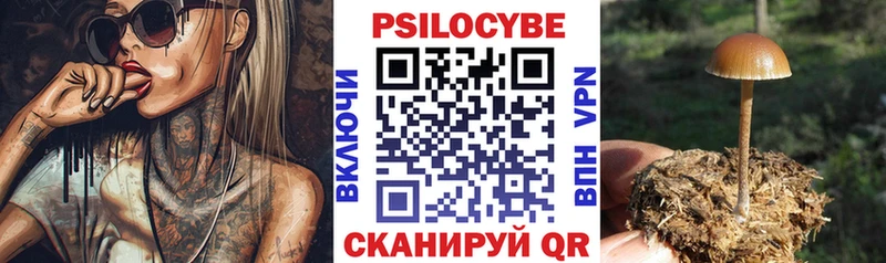 mega маркетплейс  Ковров  Галлюциногенные грибы мухоморы  наркота 